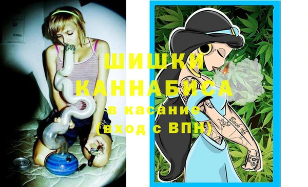 МДПВ Покров